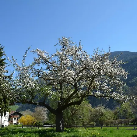 Pitztalurlaub Wenns